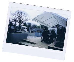 Root Awakening - Scene 2